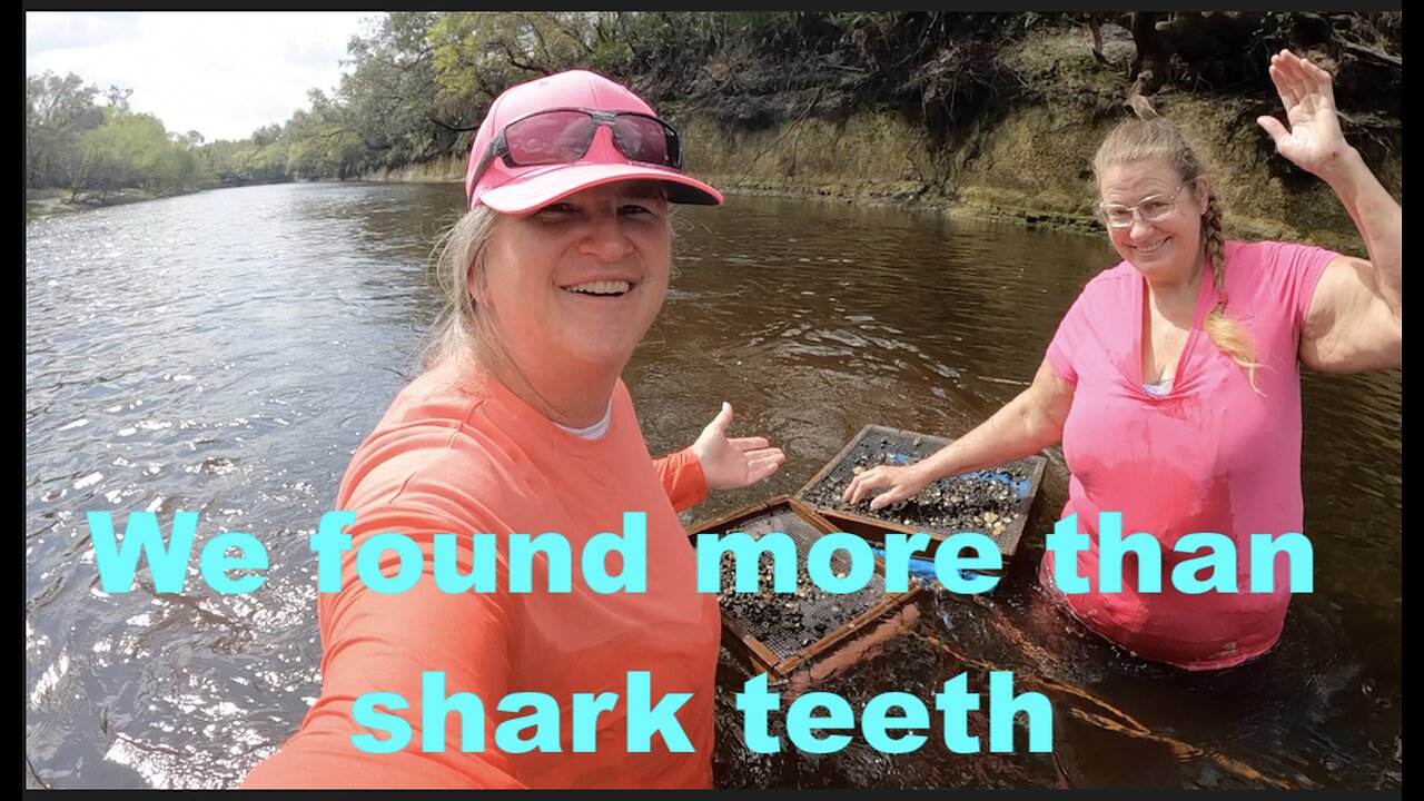 Shark Tooth Hunting On the Peace River Florida. AdVanture9