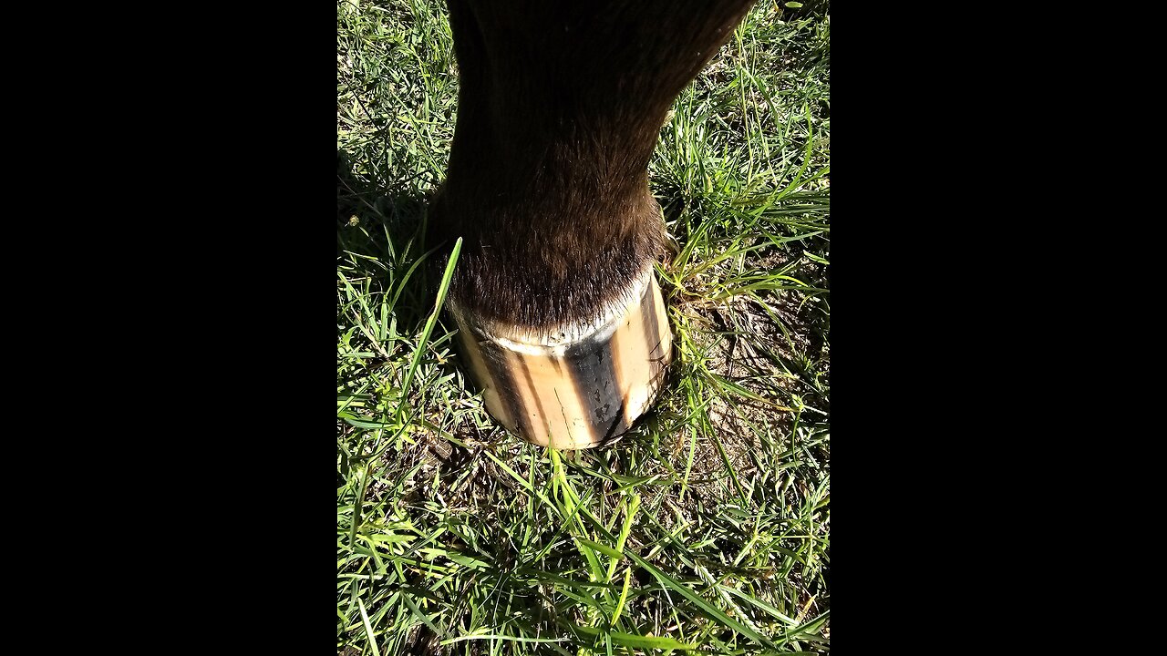 Running butt wild!