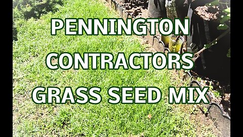 Pennington Contractors Grass Seed Mix on my Shady Yard