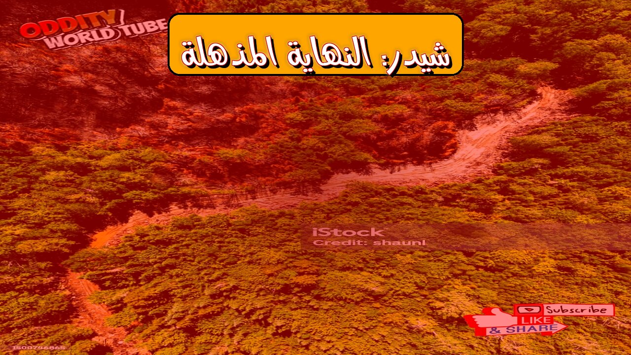 كارثة شيدر: النهاية؟ أسرار لم تُروَ! #تاريخ #غموض #أساطير