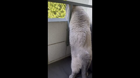 I Caught you