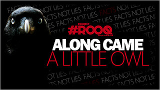 ALONG CAME A LITTLE OWL - THE STORY OF RON, MADGIE AND THE LIES THAT FUEL HER.
