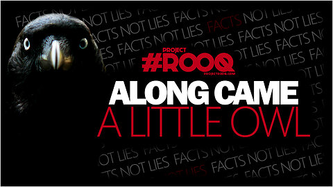 ALONG CAME A LITTLE OWL - THE STORY OF RON, MADGIE AND THE LIES THAT FUEL HER.