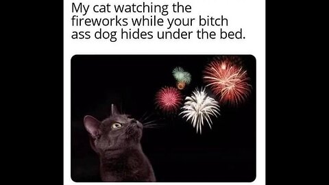 Lee Merritt: Insurrection/ Independence Day Tribute in Memes