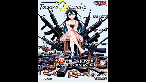 Guns Lots of Guns Tips Myths 2nd Amendment Right of Self Defense Dumb Questions Angry Answers