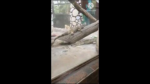 satisfying Video