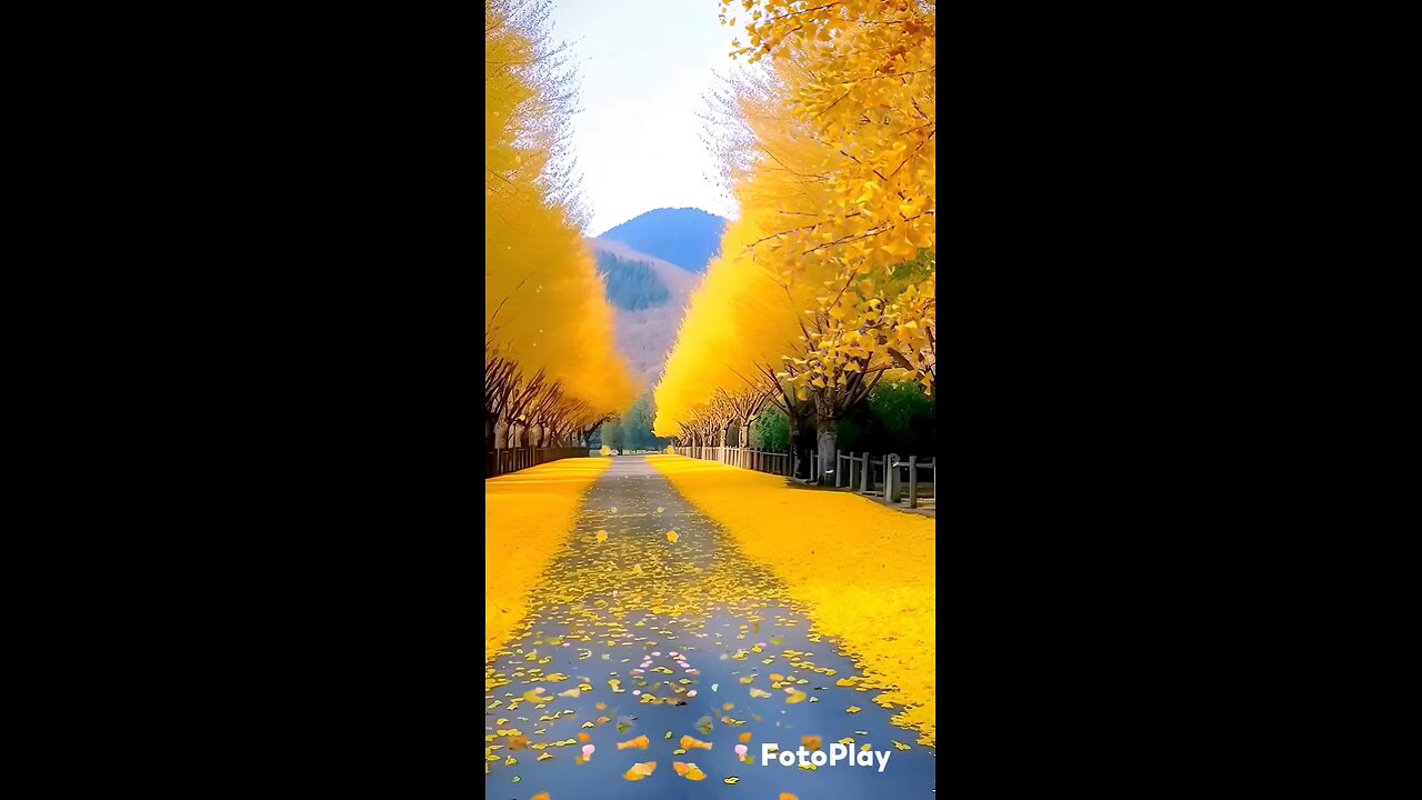 natural scean with sound
