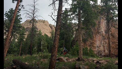 Summer Rides 2019