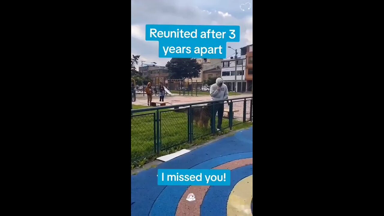 Dogs remember you forever🤩