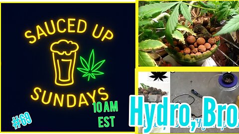 Sauced Up Sundays: #63 A Lil Trim