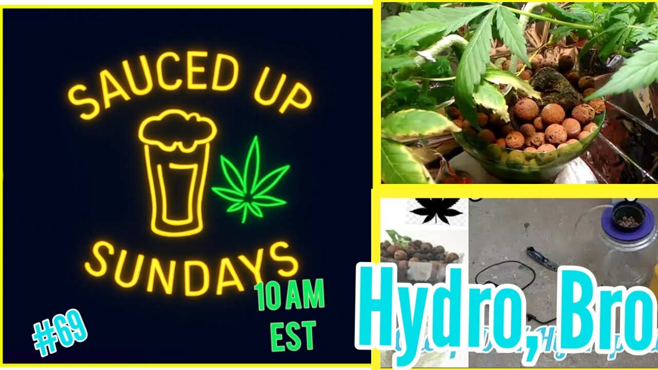 Sauced Up Sundays: #63 A Lil Trim