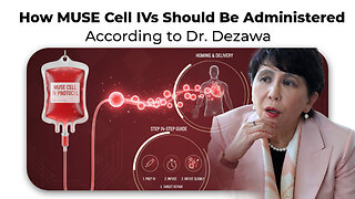 How MUSE Cell IVs Should Be Administered According to Dr. Dezawa
