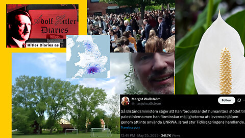 Fredskalla vs poppel. Nasse-Margot. Jag trollar vilt. Mitt troll. Mer holocaust. Covid botade cancer