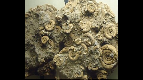 How do scientists determine the ages of rocks & fossils?