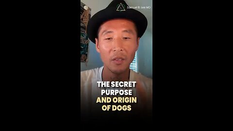 The Secret Purpose & Origin Of Dogs 😍