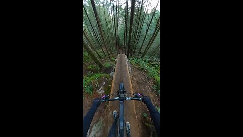 Attempting a crazy drop in the forrest !