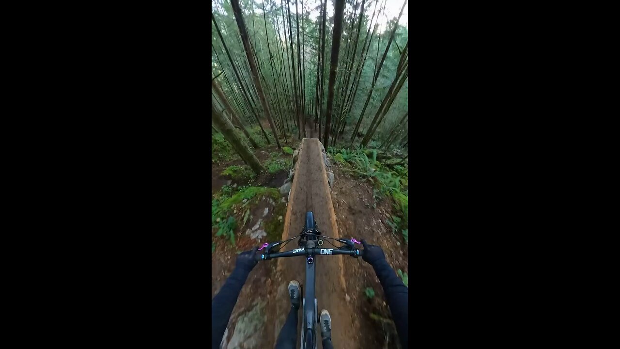 Attempting a crazy drop in the forrest !