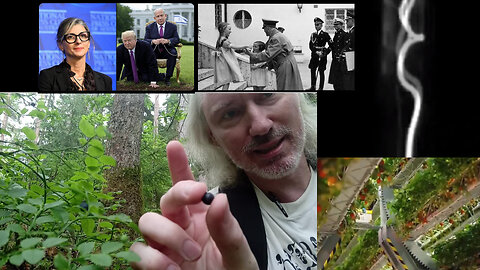 Backthinking of non-existing things. Future farming. Plasma Tornadoes. Putin document. Himmler