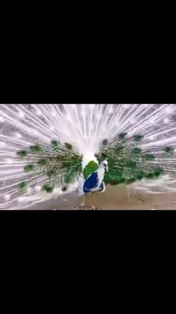 THE MOMENTS THAT SUSTAIN US - DAILY DEVOTIONAL ❤️