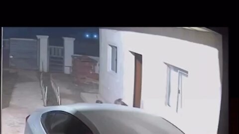 Dude Saved His Girlfriend From A Home Invasion By Doing This And Still Loss The Battle