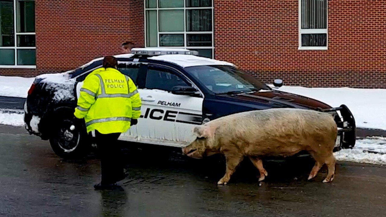 Worst Possible Time for This 😬❄️ | Winter Wipeouts 2026