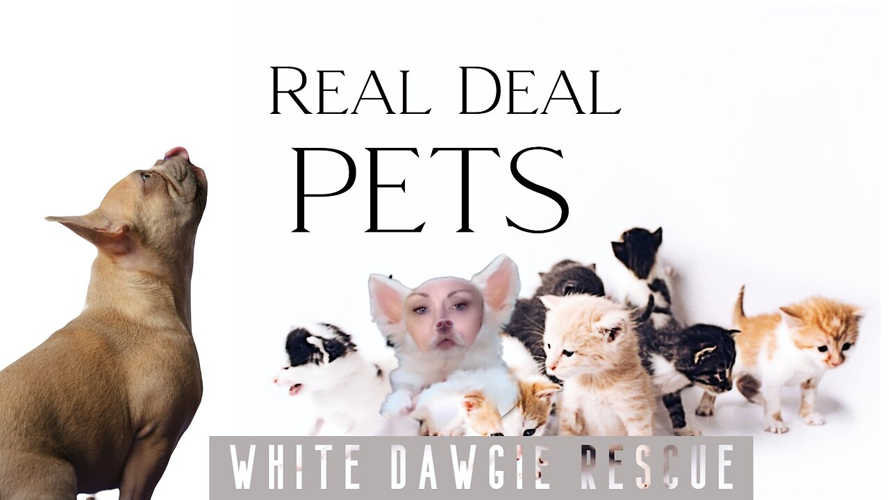 Real Deal Pets 'White Dawgie Rescue'