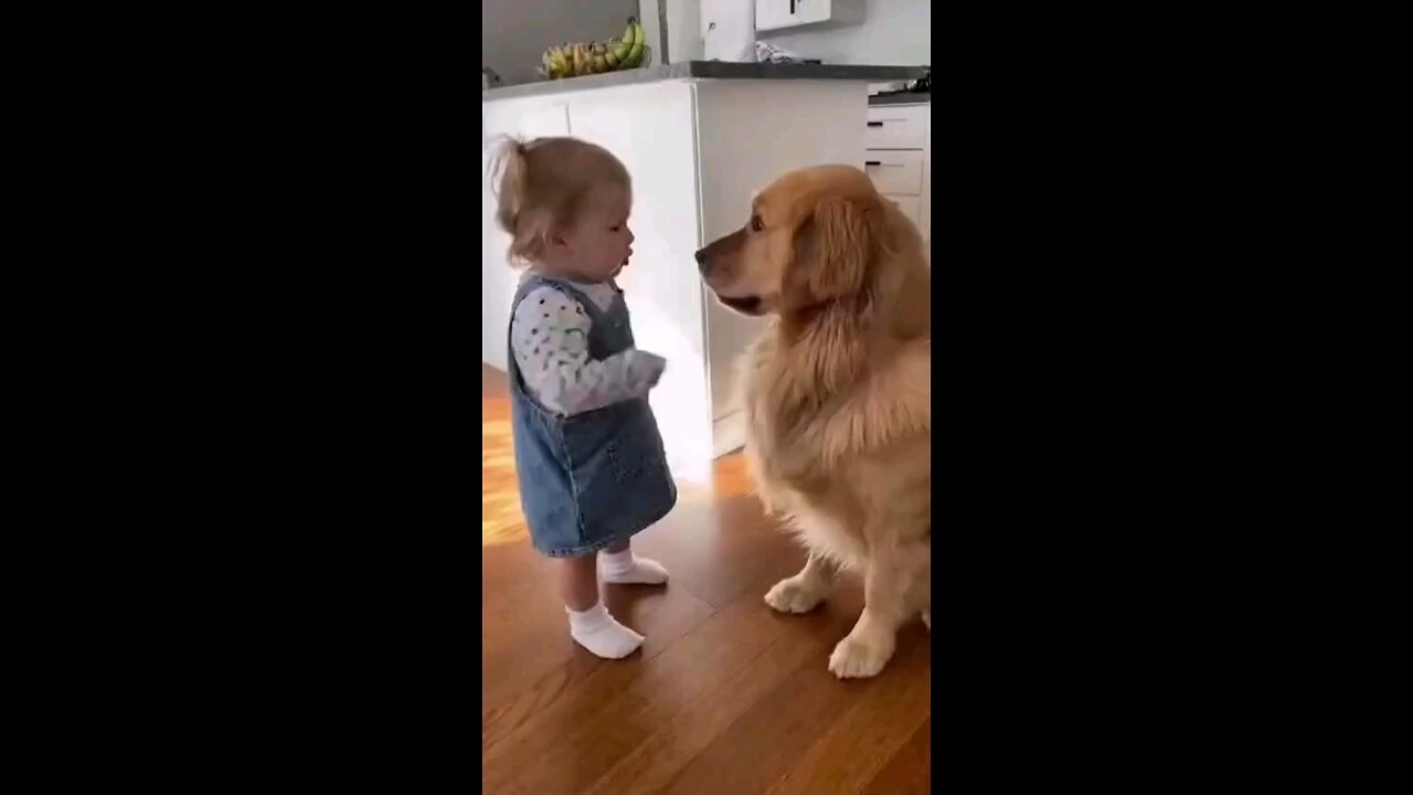 Don't wof at me 😎😎