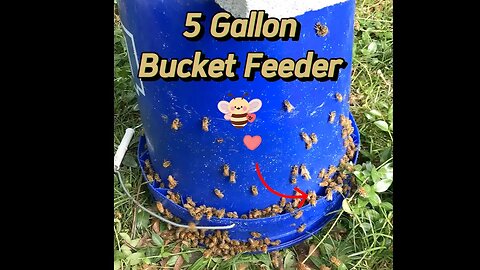 How To Make A Five-Gallon Bucket Feeder for Honeybees 🐝