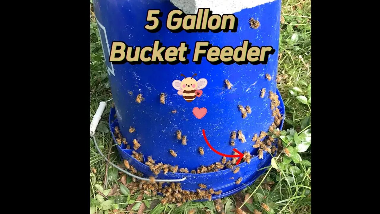 How To Make A Five-Gallon Bucket Feeder for Honeybees 🐝