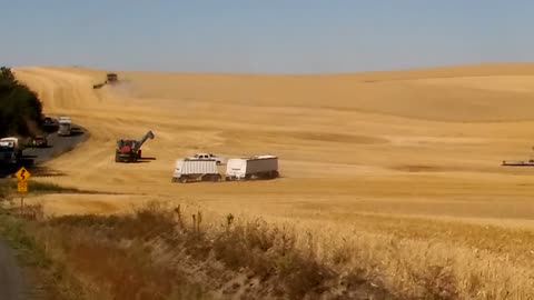 Harvest on the Palouse
