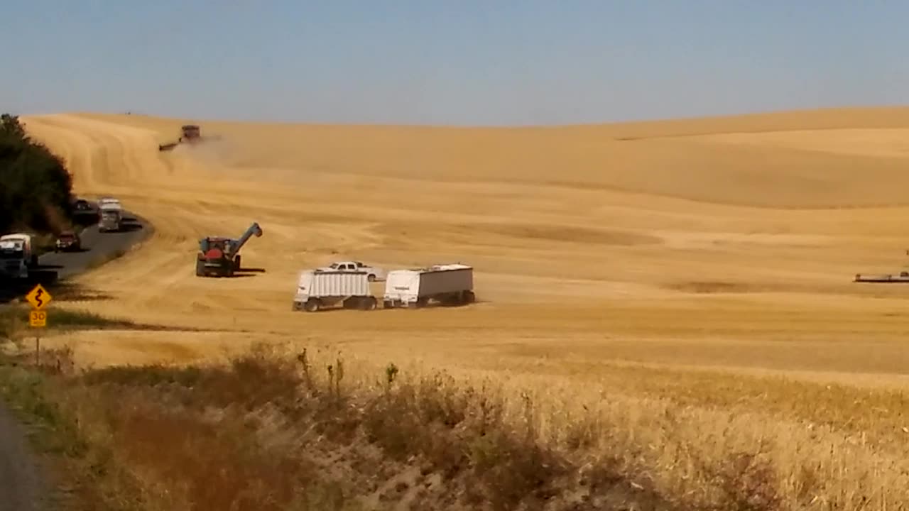 Harvest on the Palouse