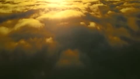 Jesus and MASS Insect Swarms Appears In Jerusalem The SECOND COMING Is HERE