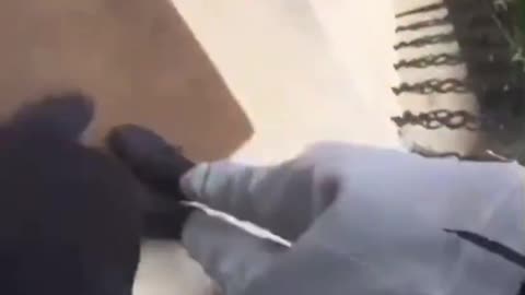 Blacks invade English homes