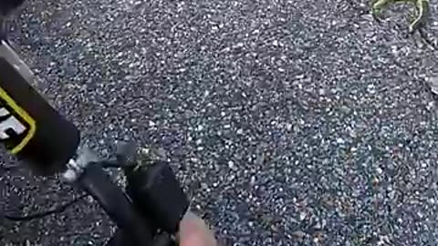 Incredible: One of the Worst Surron Crashes Ever Caught on Camera #surron #ebike