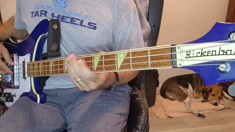 The Pretenders - My City Was Gone Bass Cover