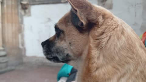 The girls feeling the frequencies