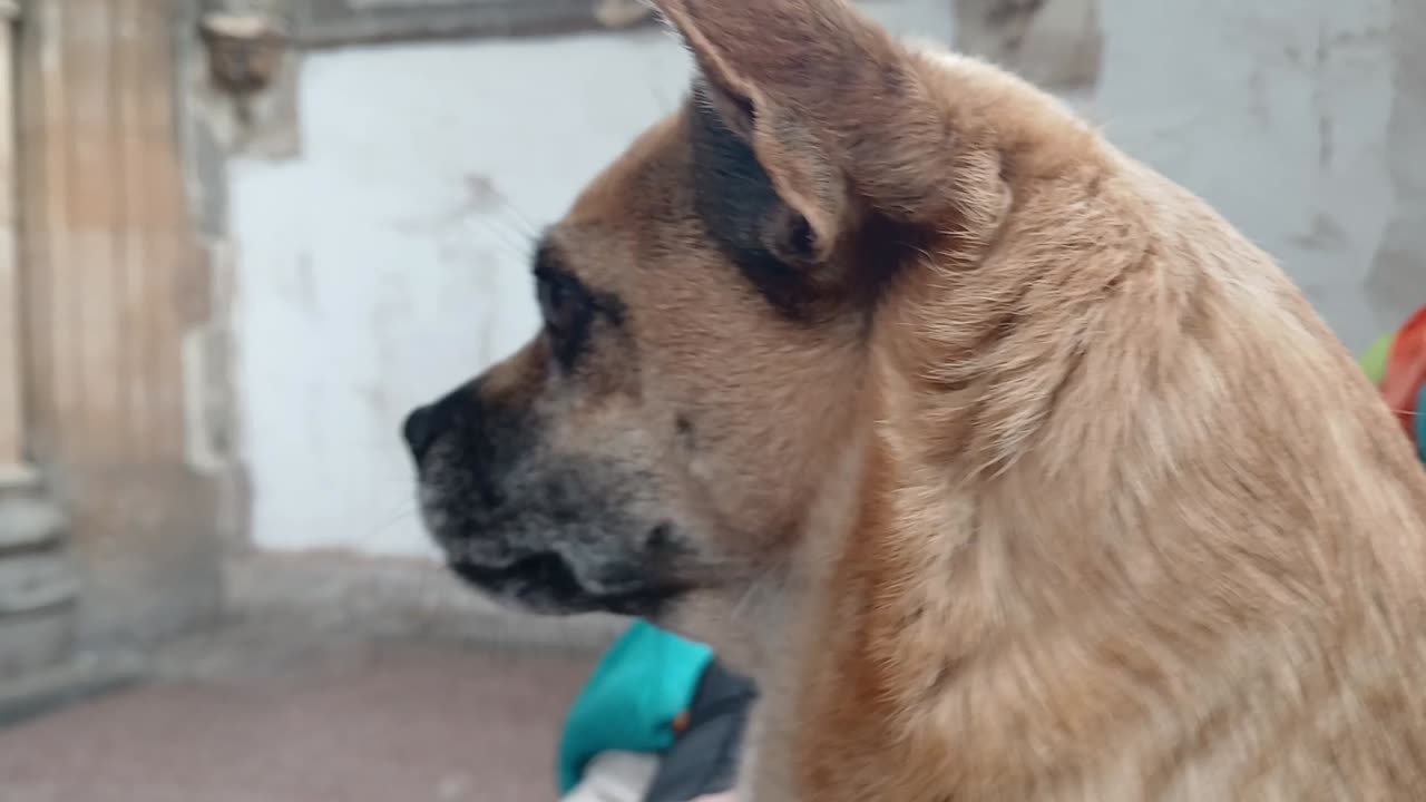 The girls feeling the frequencies