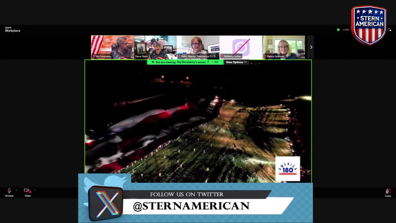 Steve Stern Election Integrity Update Livestream