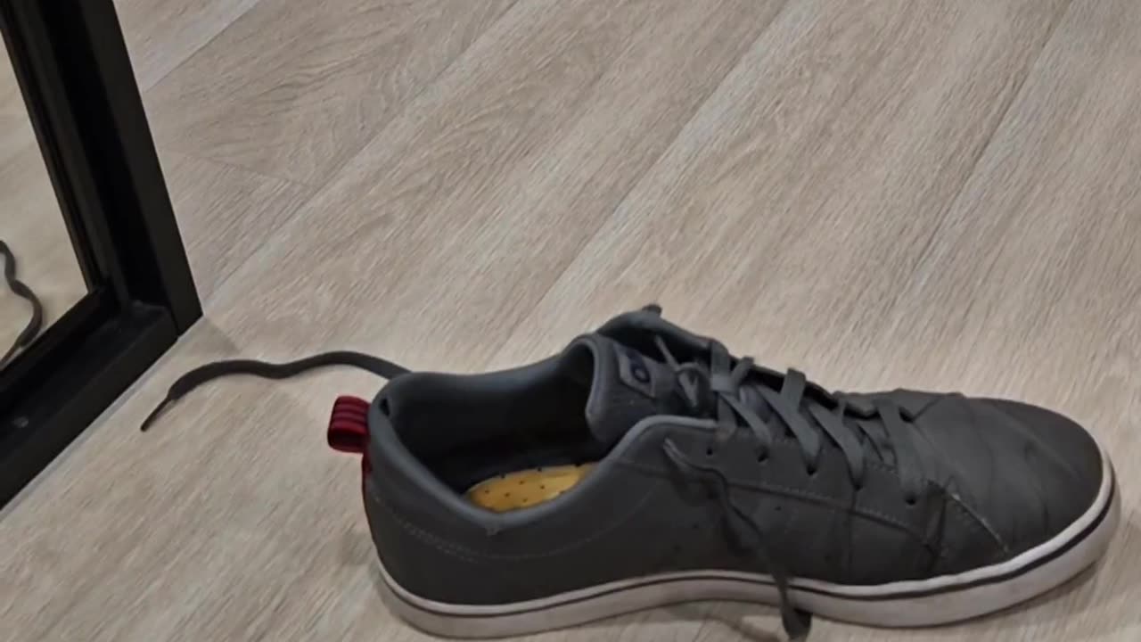 🤣👟 Don’t Mess with Shoes, They Just Might Fight Back! | FunFM