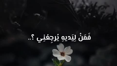 نشيد جميل ورائع