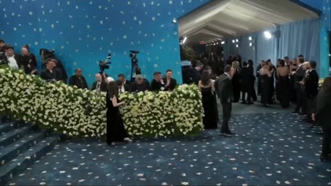 Black Brilliance on the Blue Carpet: Highlights from the 2025 Met Gala