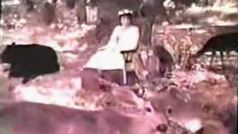 Commercial - Chiffon Margarine w Mother Nature (late 60s)