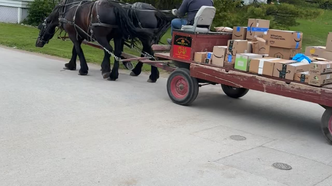 Island Packages Delivered By Pony Express