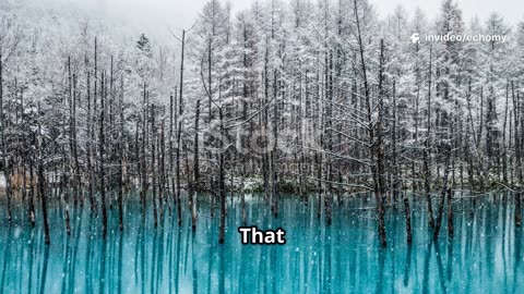 Blue Pond Hokkaido: Real and Artistic Highlights #travel #explore #history #bluepond #hokkaido