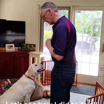 Molly's Lesson Three short 2