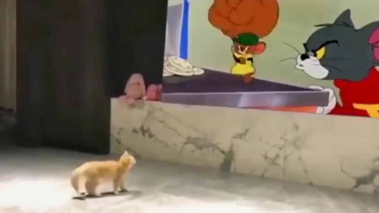 Kitty Thinks Jerry's Gonna Punch Him Too