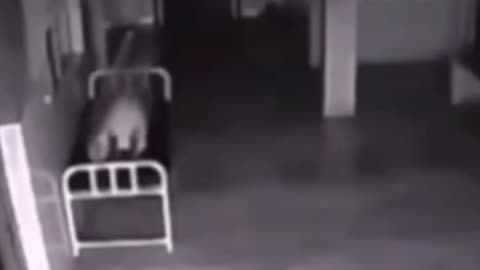 😱👻 OMG! #GhostlyToksa | TheHauntingHour