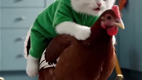 Frog Kitty’s Cutest Thanksgiving Moment Ever 🍂🐸🐱#cat #cute #cats #frog