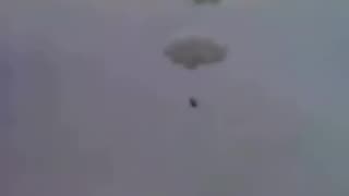 In 1982, Larry Walters tied 42 balloons to a lawn chair and soared 16,000 feet