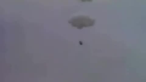 In 1982, Larry Walters tied 42 balloons to a lawn chair and soared 16,000 feet